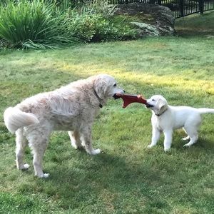 Meet your Posher, Katherine